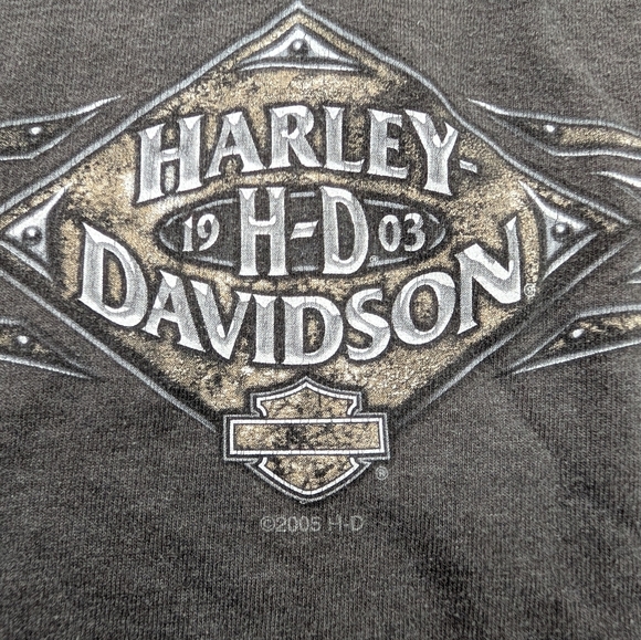 Vtg 2005 Harley Davidson Men's Grey Crystal River Florida Long Sleeve Tee Large - Picture 4 of 9